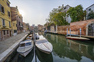 Motorboats and colourful house facades on a small canal, Sun Star, Venice, Veneto, Italy, Europe