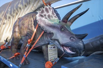 Large dinosaur figure (Triceratops) attached to a heavy goods vehicle with straps, Lauf an der