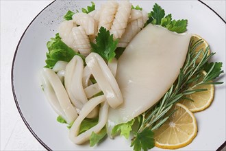 Fresh squid, raw, carcass, cut into rings, top view, no people