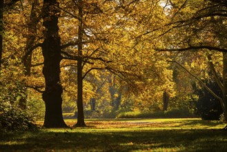 The Great Garden in Dresden is a park of Baroque origin. The Great Garden has been remodelled many