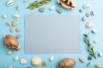 Composition with gray paper sheet, seashells, green boxwood. mockup on blue pastel background.