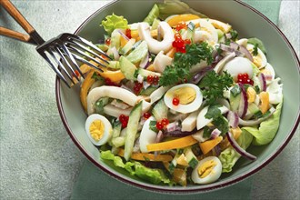 Salad with squid, fresh cucumber, eggs, sweet pepper, red onion, with dressing, homemade, no people