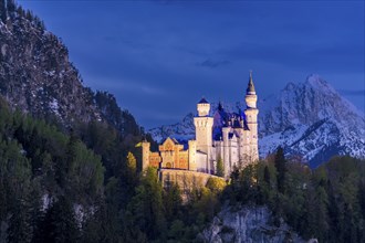 Neuschwanstein Castle near Füssen, Schwangau, AllgÃ¤u Alps, night shot, illuminated, snow, East