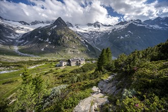 Mountain landscape with alpine roses and hiking trail, mountain hut Berliner Hütte, mountain peak