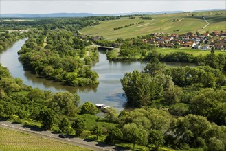 Mainschleife, near Volkach, Mainfranken, Lower Franconia, Franconia, Bavaria, Germany, Europe