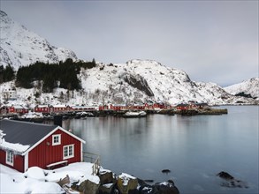 Traditional red rorbu houses on stilts in the authentic fishing village of Nusfjord, snow-capped