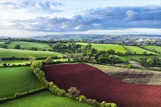 Fields and Farms over Torquay from a drone, Devon, England, United Kingdom, Europe