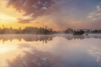 Misty lake at sunrise, sky in pink and blue, with reflection of the trees in the calm water, In the