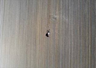 Tractor dragging a plume of dust behind it while working a potato field, Münchenberge, 20/05/2020