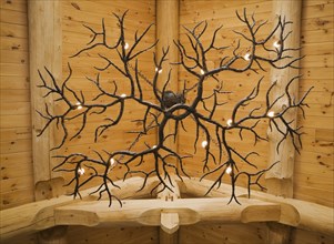 Illuminated deer antlers chandelier hanging from high cathedral knotty pine wood planks ceiling,