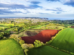 Fields and Farms over Torquay from a drone, Devon, England, United Kingdom, Europe