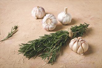 Fresh bunch of rosemary with garlic, on a beige background, food concept