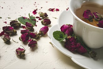 Cup of tea, damask rose, pink tea, close-up