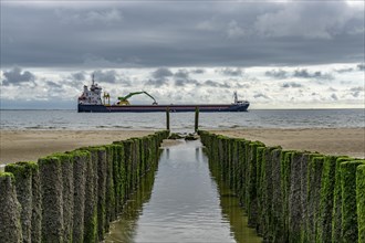 North Sea coast in Zeeland, called Zeeland Riviera, breakwater, made of wooden piles, near