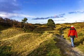 North Sea island of Spiekeroog, East Frisia, Lower Saxony, Germany, dune landscape, in the eastern