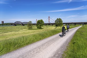 Rhine meadows near Duisburg-Beeckerwerth, footpath, cycle path on the Rhine dyke, cycle path,