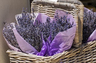 Basket of dried lavender for sale, Provence, South of France, France, Europe