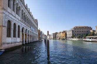 Natural History Museum Museo di Storia Naturale Giancarlo Ligabue on the Grand Canal, Venice,