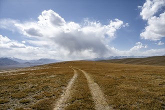 Field path on plateau, Ak Shyrak Mountains, near Kumtor, Kara-Say, Tian Shan, Kyrgyzstan, Asia