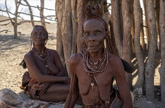 Old married Himba woman with traditional headdress in front of a hut, near Opuwo, Kaokoveld,