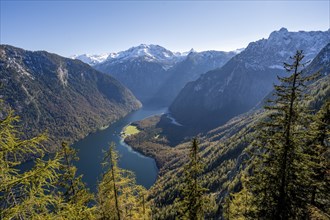 Panoramic view of the Königssee from the Archenkanzel viewpoint, autumnal forest and snow-capped