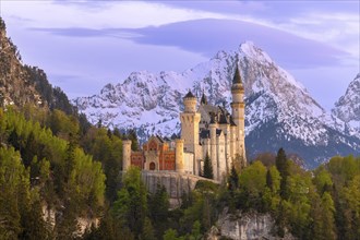 Neuschwanstein Castle near Füssen, evening mood, Schwangau, AllgÃ¤u Alps, snow, OstallgÃ¤u,