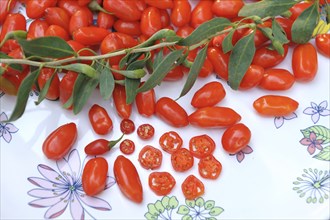 Goji berry (Lycium barbarum 'Sweet Lifeberry')