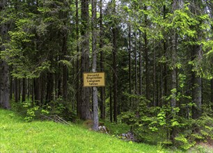 Yellow sign in the forest, ski area at the Götschen Alm, Bavaria, Germany, Europe