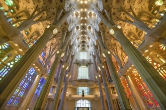 Nave, ceiling vault, columns, Sagrada Familia, Basilica by Antoni Gaudi, Barcelona, Catalonia,