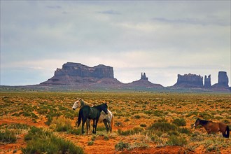 Monument Valley, Navajo Land, Colorado Plateau, under Navajo administration, Utah, USA, North