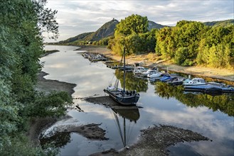 The Rhine at extremely low water, near Bad Honnef Rhöndorf, below the Drachenfels, the historic