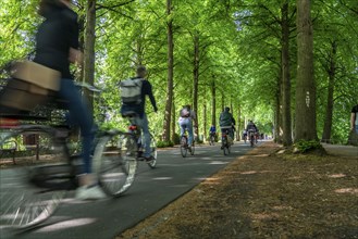 Promenade cycle path, tree-lined, car-free, approximately 4.5 km long ring road around the city