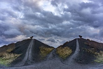 Rungenberg spoil tip in the Buer district, Night Sign light installation, Gelsenkirchen, North