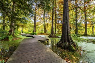 The Botanical Garden of the Ruhr University Bochum, in the district of Bochum-Querenburg, North