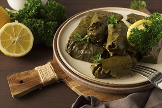 Dolma, cabbage rolls, grape leaves with filling, white sauce, lemon and herbs, rustic, selective