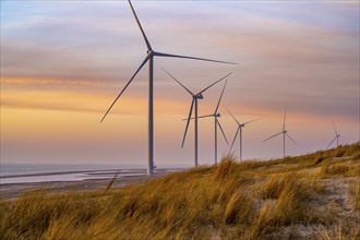 ENECO wind farm on the dike around the harbour Maasvlakte 2, 22 wind turbines with a capacity of