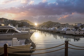 Marina and yacht club area in Cabo San Lucas, Los Cabos, a departure point for cruises, marlin