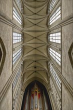 Magdeburg cathedral, Ceiling, Magdeburg, Saxony Anhalt, Germany, Europe