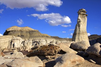 The Valley of Dreams, New Mexico, USA, Valley of Dreams, New Mexico, USA, North America