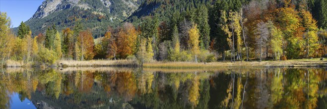 Moorweiher near Oberstdorf, OberallgÃ¤u, AllgÃ¤u, Bavaria, Germany, Europe