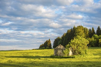 Dilapidated ruin of a stone hut on a freshly mown meadow in the evening light, Swabian Alb,