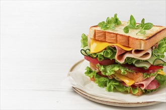 Club sandwich, on a white table, close-up, no people, horizontal, homemade