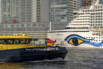 Rotterdam, skyline at the Nieuwe Maas, skyscrapers at the Kop van Zuid district, cruise ship Aida