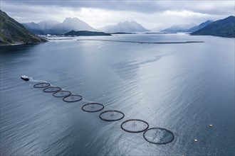 Aerial view of a salmon farm, rainy weather, grey sky, village Myre in the back, Vesteralen