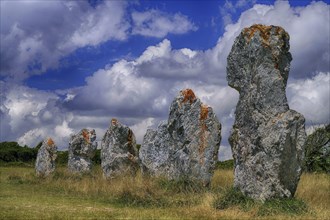 France, Brittany, Camaret sur Mer, Brittany, France, Europe