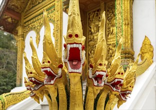 Naga at the steps of Wat Ho Pha Bang temple, Royal Palace, Luang Prabang, Laos, Asia