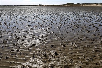 Mudflats on the island of Amrum, Norddorf, 16.06.2020