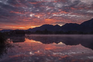 Dawn, mountains reflected in lake, summer, Lake Kochel, Alpine foothills, Bavaria, Germany, Europe