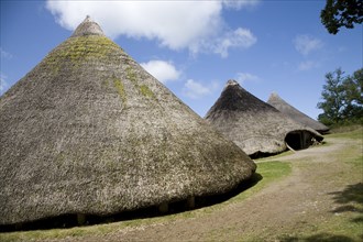 Castell Henllys iron age celtic village houses Pembrokeshire Wales, United Kingdom, Europe