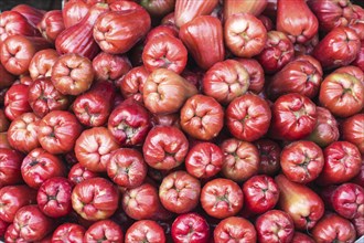 Stack of fresh rose apples on the market